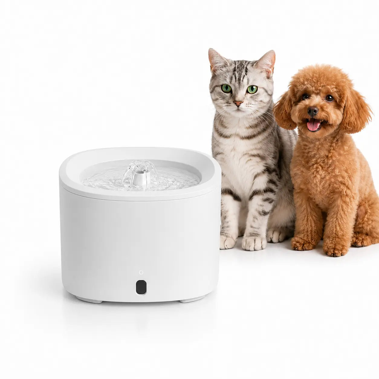 Fluffino Indoor Cat Water Fountain - 3L Upgraded Water Capacity (101Oz), Ultra Quiet USB Pump Power Supply, Continuous Flow, Easy Maintenance, White Single Unit